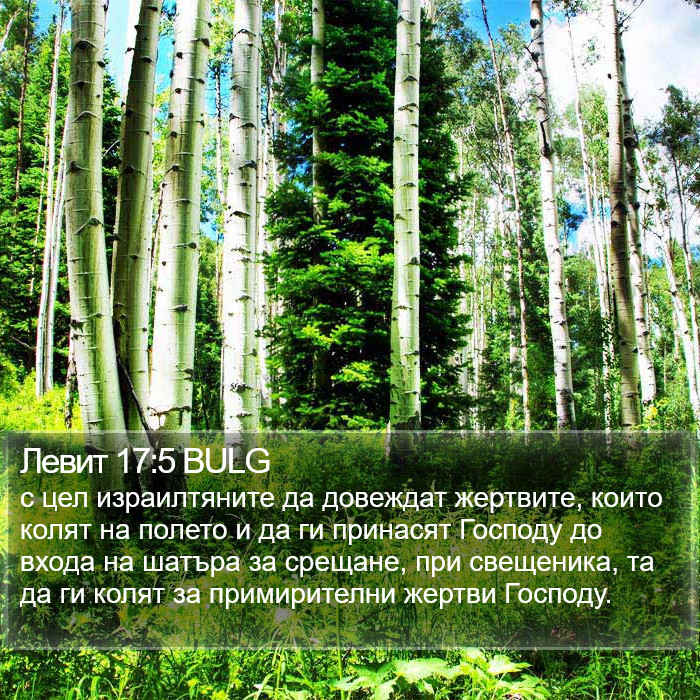 Левит 17:5 BULG Bible Study