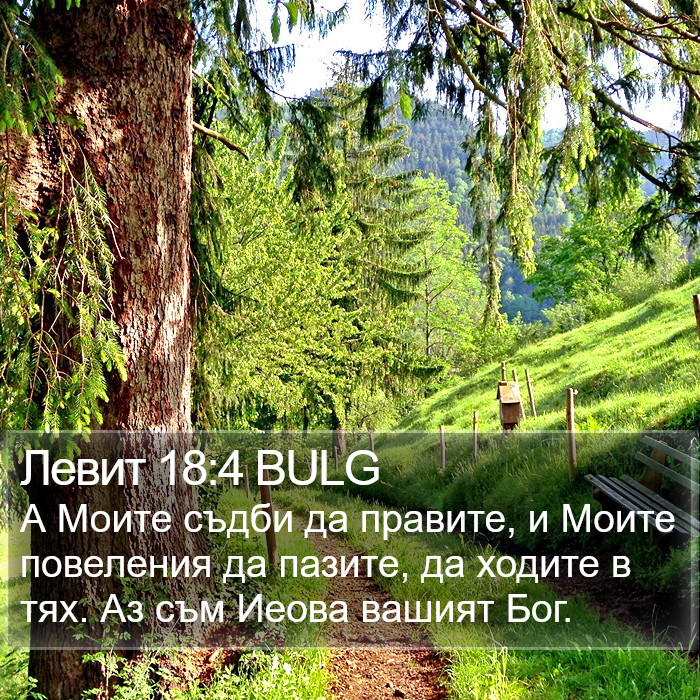 Левит 18:4 BULG Bible Study