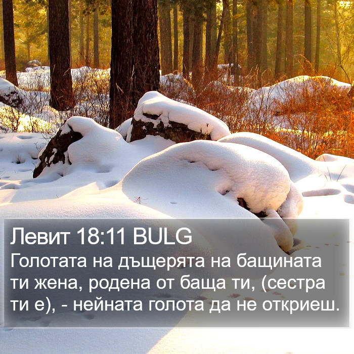 Левит 18:11 BULG Bible Study