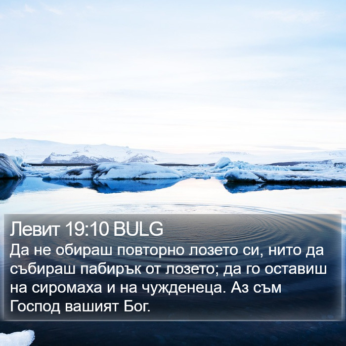 Левит 19:10 BULG Bible Study