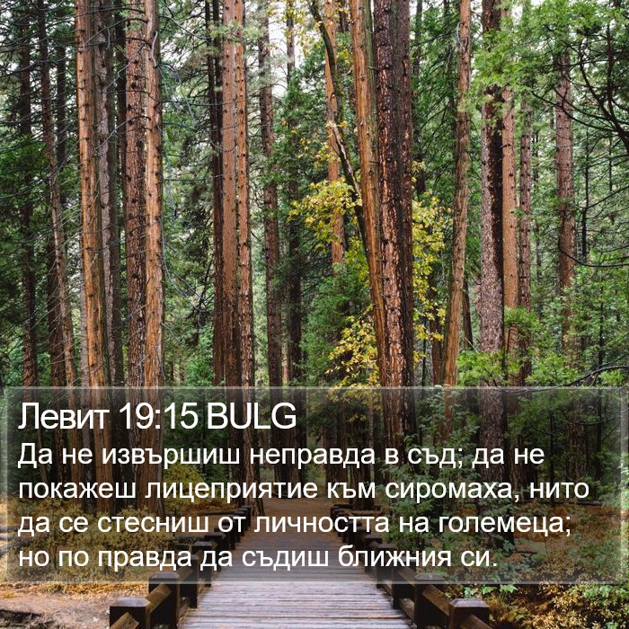 Левит 19:15 BULG Bible Study