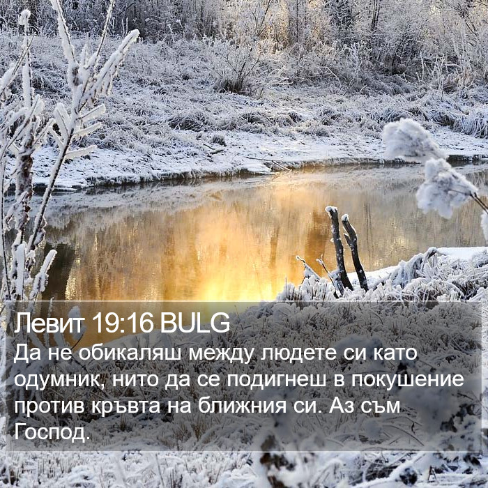 Левит 19:16 BULG Bible Study