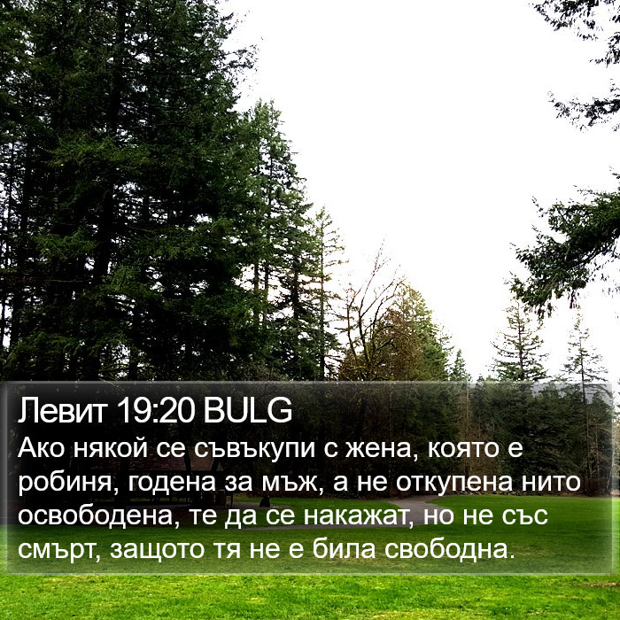 Левит 19:20 BULG Bible Study