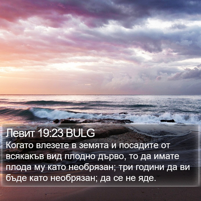 Левит 19:23 BULG Bible Study