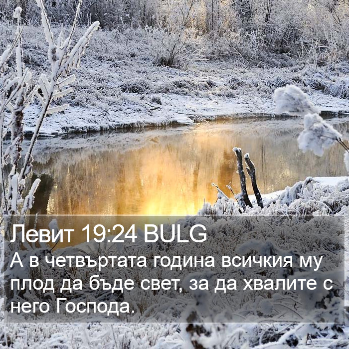 Левит 19:24 BULG Bible Study