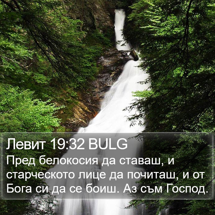 Левит 19:32 BULG Bible Study