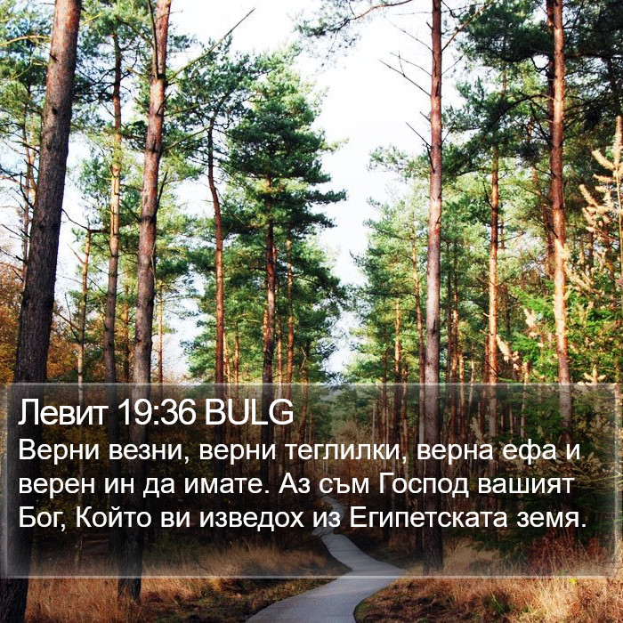 Левит 19:36 BULG Bible Study