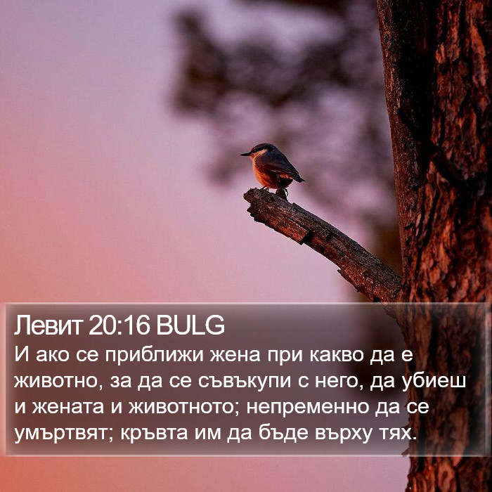 Левит 20:16 BULG Bible Study