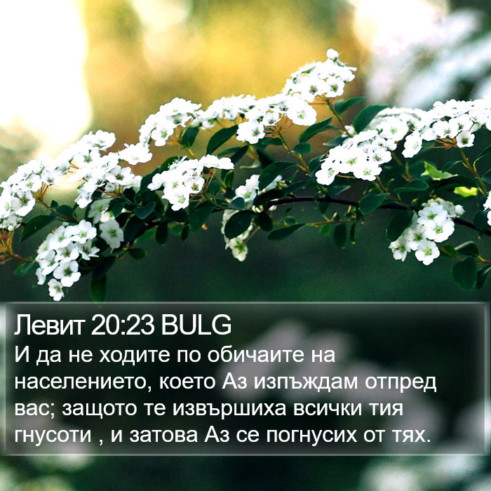 Левит 20:23 BULG Bible Study