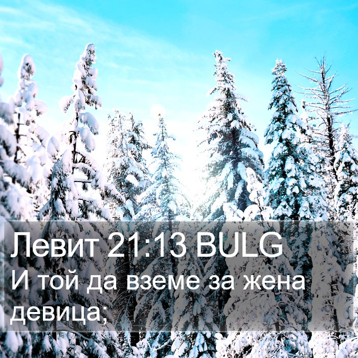 Левит 21:13 BULG Bible Study