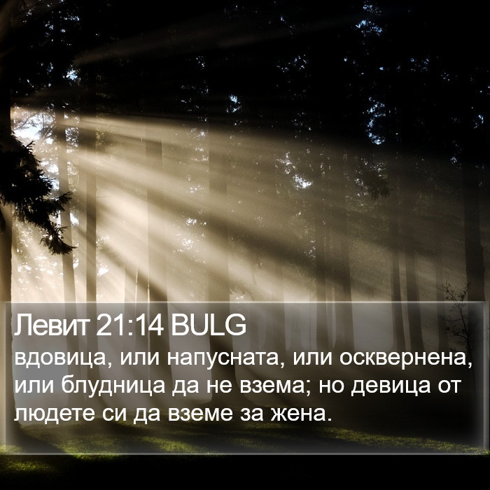 Левит 21:14 BULG Bible Study