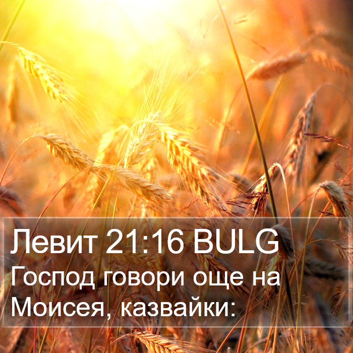 Левит 21:16 BULG Bible Study