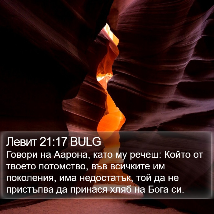 Левит 21:17 BULG Bible Study