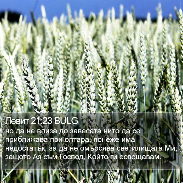 Левит 21:23 BULG Bible Study