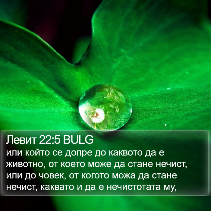 Левит 22:5 BULG Bible Study