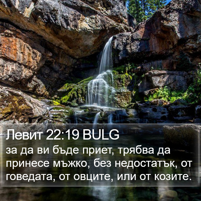 Левит 22:19 BULG Bible Study