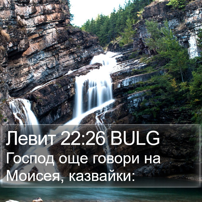 Левит 22:26 BULG Bible Study