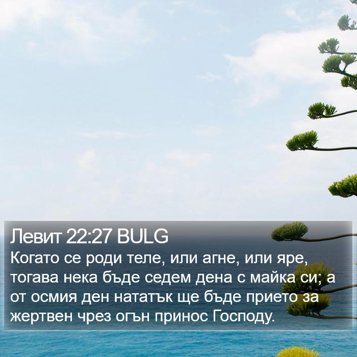 Левит 22:27 BULG Bible Study