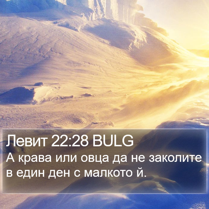 Левит 22:28 BULG Bible Study