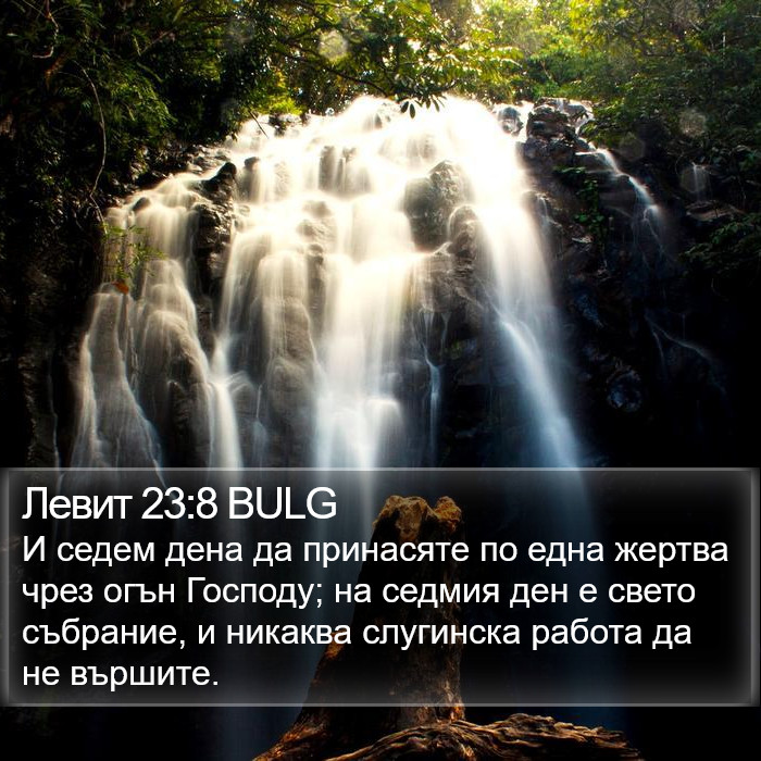 Левит 23:8 BULG Bible Study