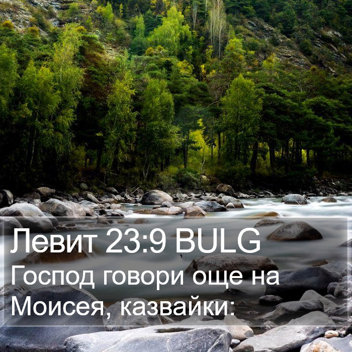 Левит 23:9 BULG Bible Study