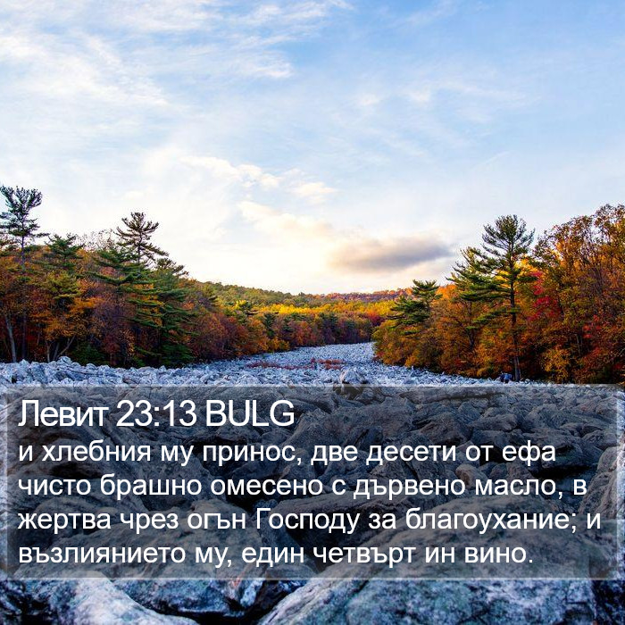 Левит 23:13 BULG Bible Study