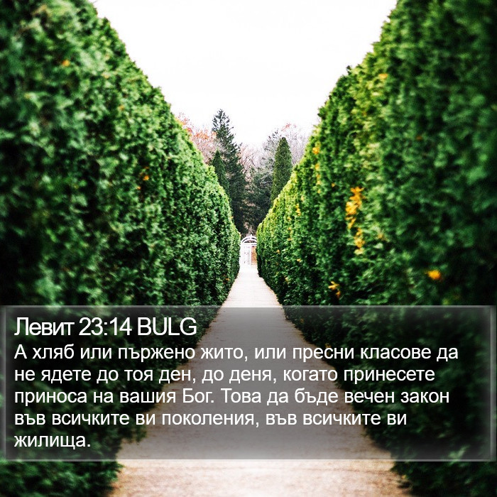 Левит 23:14 BULG Bible Study