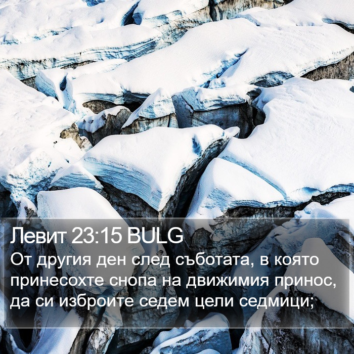 Левит 23:15 BULG Bible Study