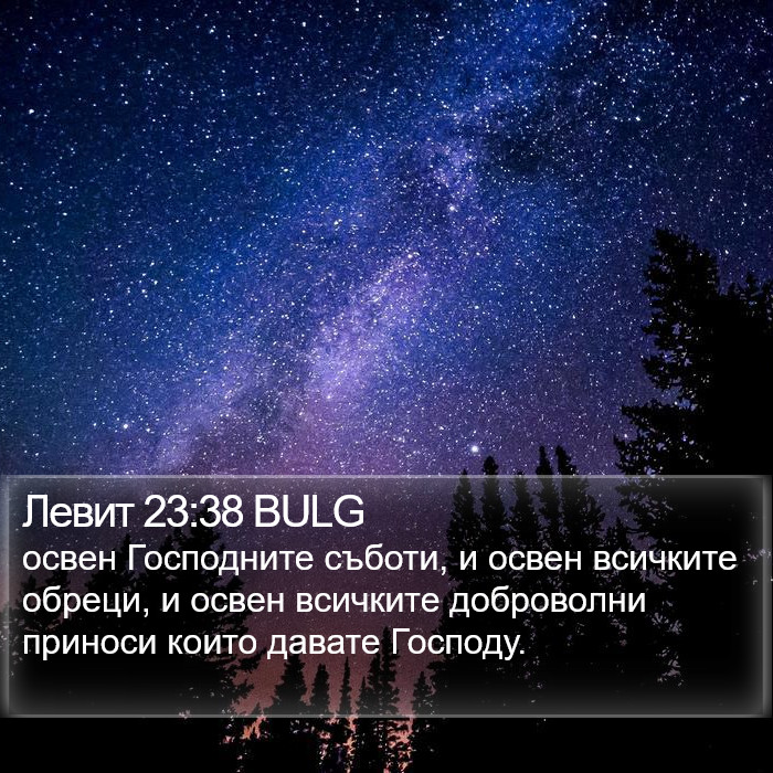 Левит 23:38 BULG Bible Study