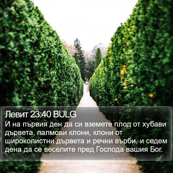 Левит 23:40 BULG Bible Study