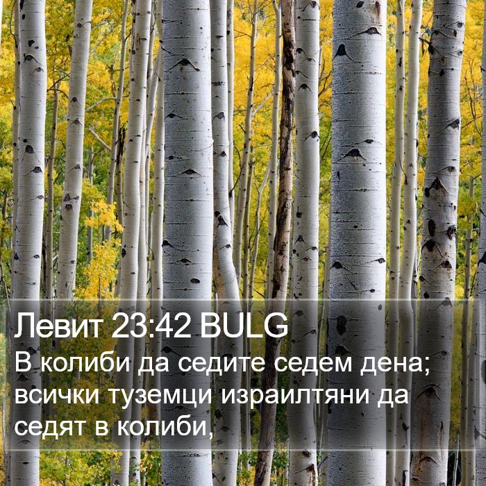 Левит 23:42 BULG Bible Study