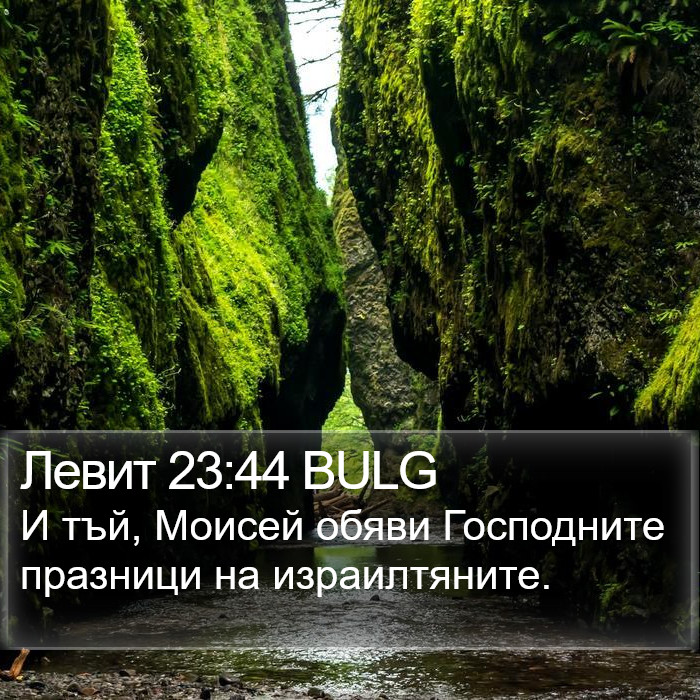 Левит 23:44 BULG Bible Study