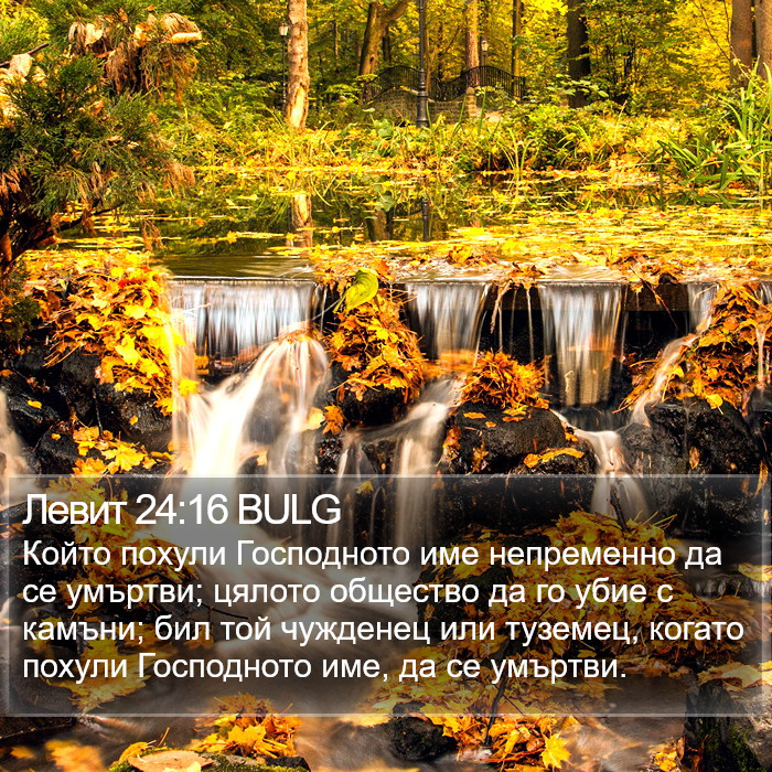 Левит 24:16 BULG Bible Study