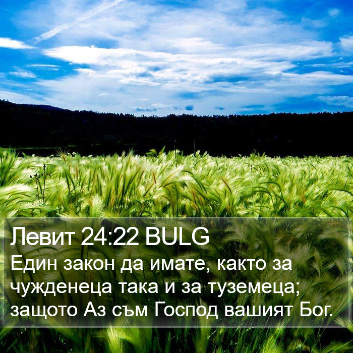 Левит 24:22 BULG Bible Study