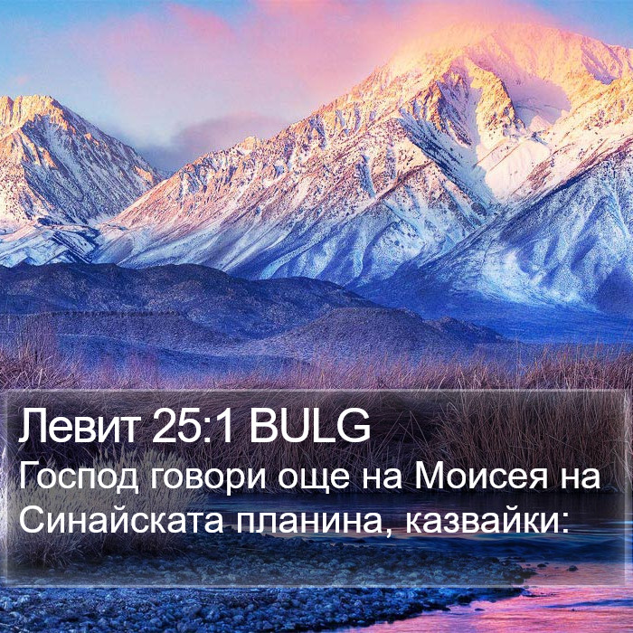 Левит 25:1 BULG Bible Study