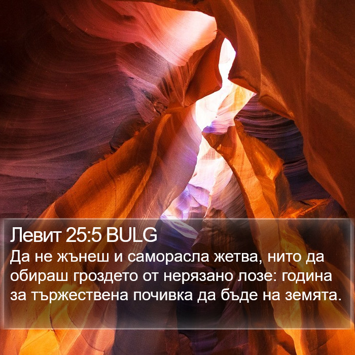 Левит 25:5 BULG Bible Study