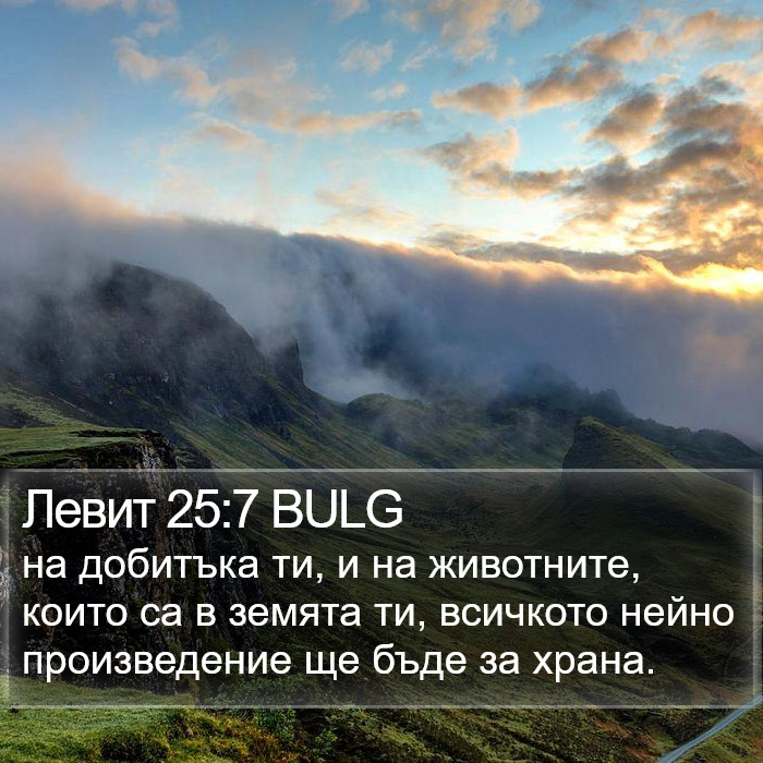 Левит 25:7 BULG Bible Study