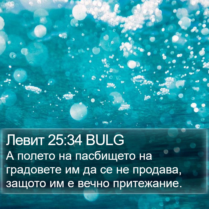 Левит 25:34 BULG Bible Study