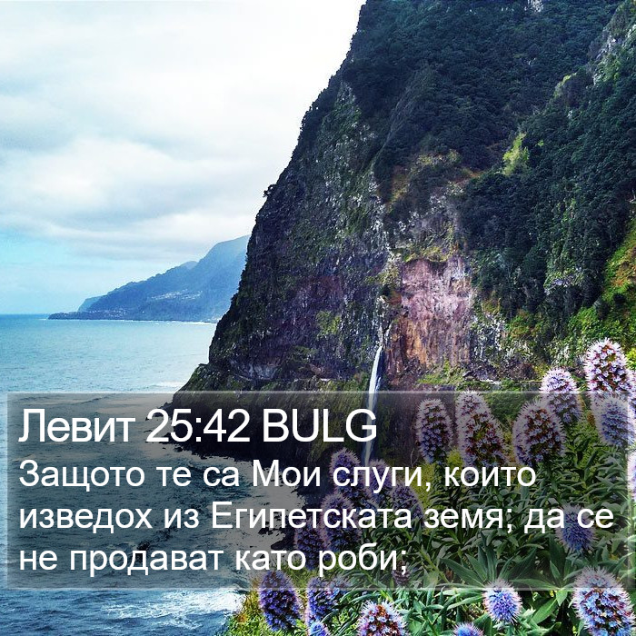 Левит 25:42 BULG Bible Study