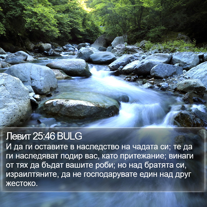 Левит 25:46 BULG Bible Study