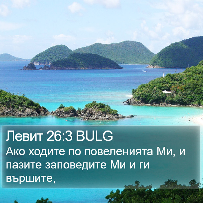 Левит 26:3 BULG Bible Study