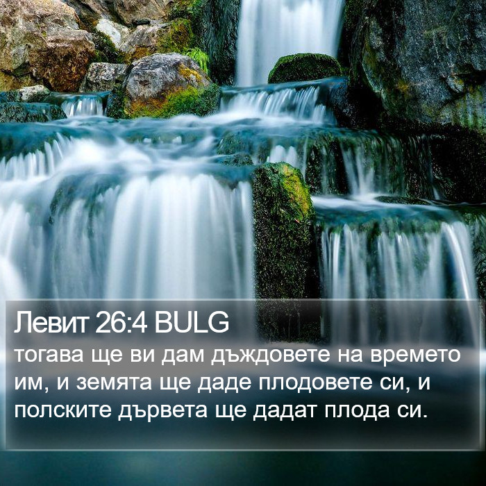 Левит 26:4 BULG Bible Study