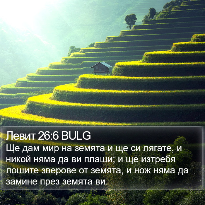 Левит 26:6 BULG Bible Study