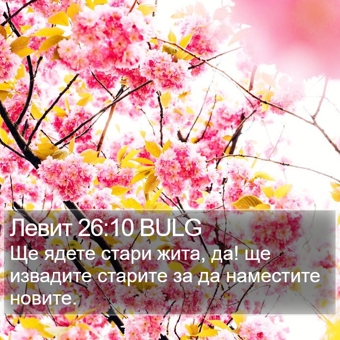 Левит 26:10 BULG Bible Study