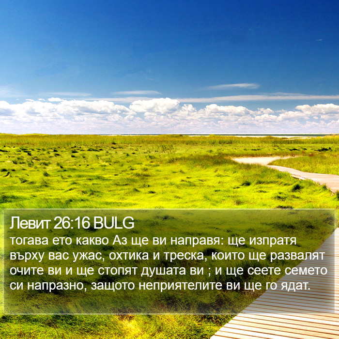 Левит 26:16 BULG Bible Study