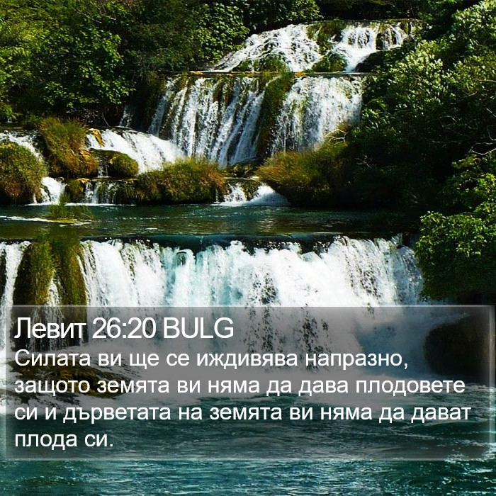 Левит 26:20 BULG Bible Study