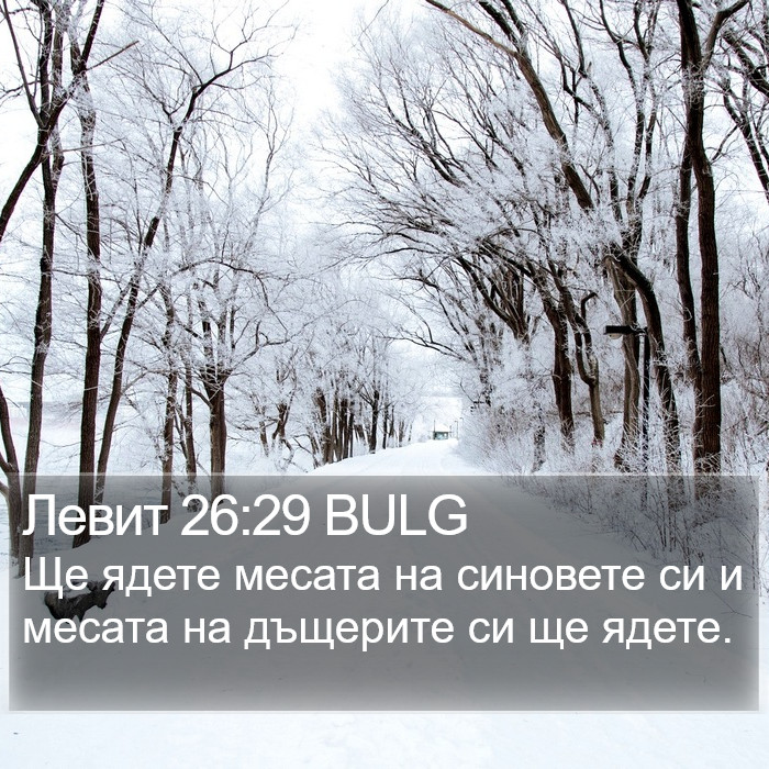 Левит 26:29 BULG Bible Study