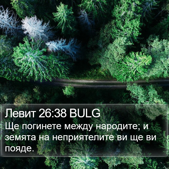 Левит 26:38 BULG Bible Study