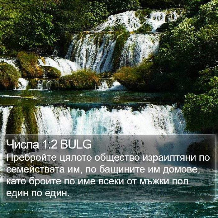 Числа 1:2 BULG Bible Study