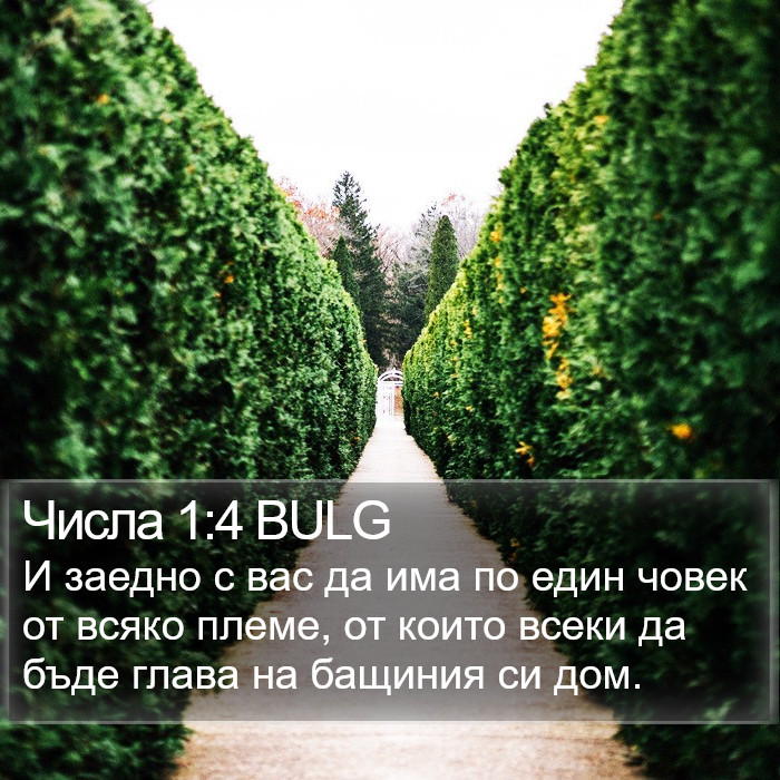 Числа 1:4 BULG Bible Study